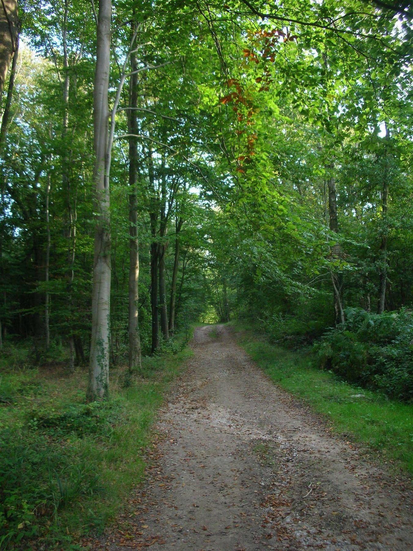 Les Jardins D'Hardelot Hotel Kültér fotó